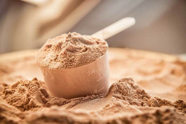 Plant Protein Not Working? 7 Reasons You’re Not Seeing Results (And How to Fix It)