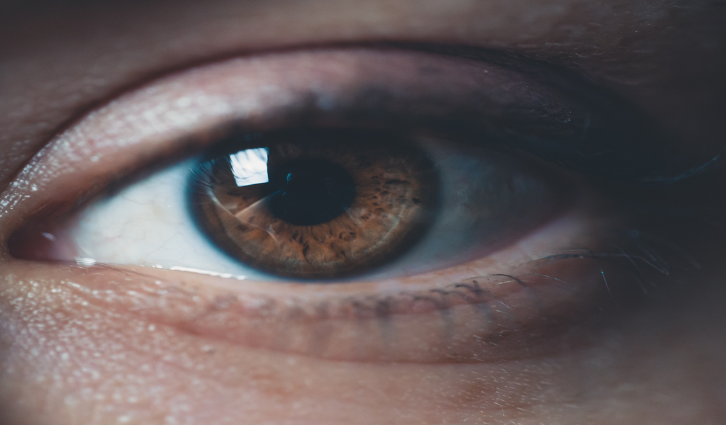 glutathione and eyesight Minimizing Oxidative Stress in the Lens: Alternative Measures for Elevating Glutathione in the Lens to Protect against Cataract glutathione and eyesight Minimizing Oxidative Stress in the Lens: Alternative Measures for Elevating Glutathione in the Lens to Protect against Cataract