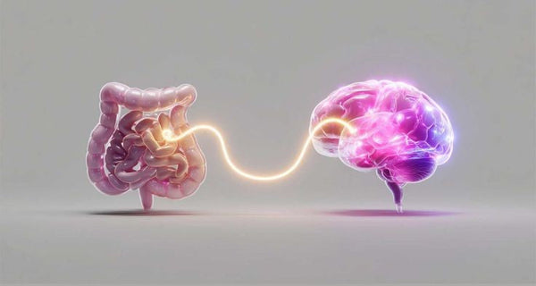 Gut Bacteria Produce Approx 95% Serotonin