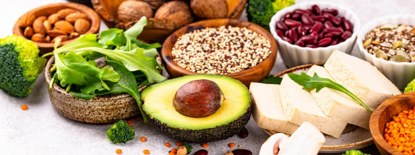 Marine collagen versus vegan collagen supplement comparison