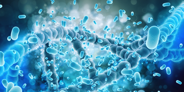 Probiotics for Bloating