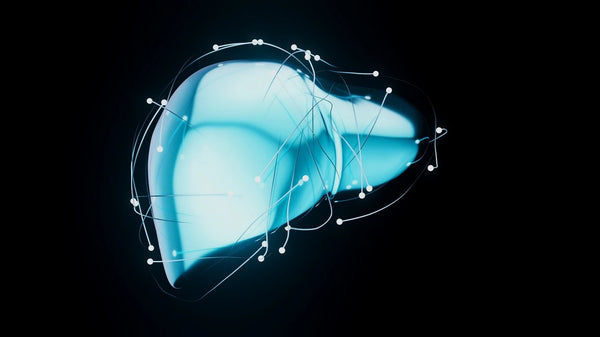 The Right Way to Support Your Liver Health Naturally