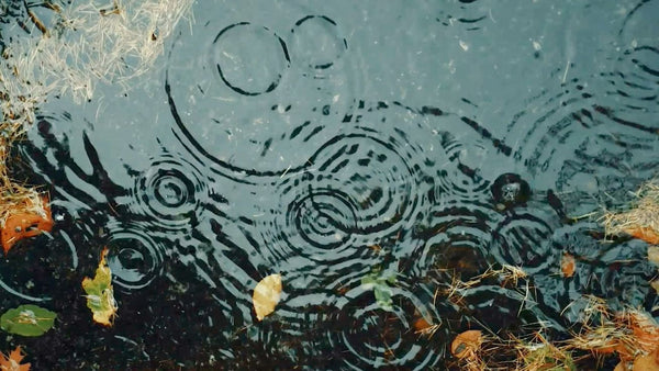 How to Stay Healthy During Monsoon