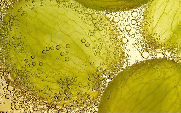 Detox Your Weight: The Real Difference Between Fat Loss and True Body Detox