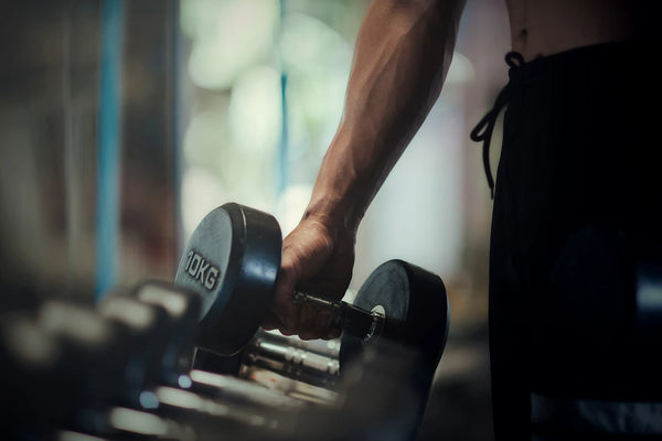 How BCAAs Support Muscle Growth and Enhance Endurance?