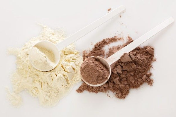Taking Plant Protein Daily? 5 Changes You’ll Notice in Your Weight, Digestion and Energy