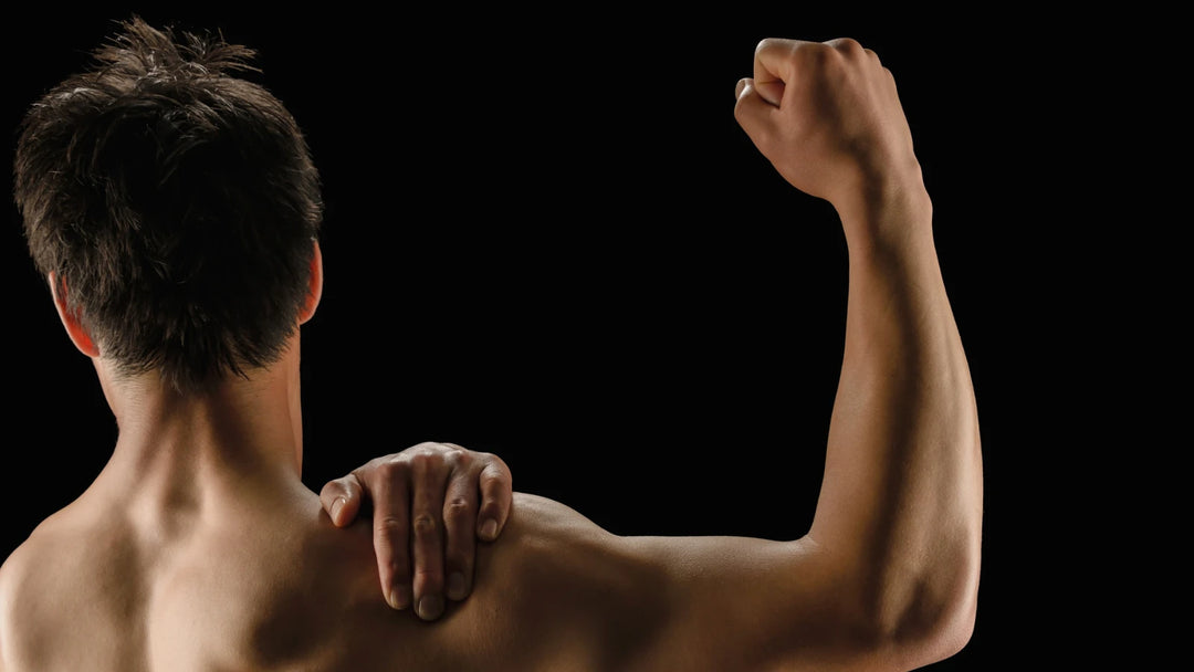 MSM supplement for joint flexibility and improved mobility. 