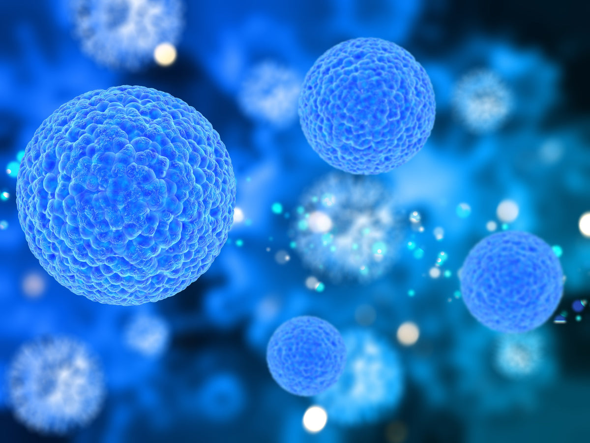 Trace Minerals Drops: Do They Really Improve Cellular Balance?