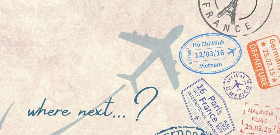 Travel Wellness Stack: Immunity and Gut Stability On the Go