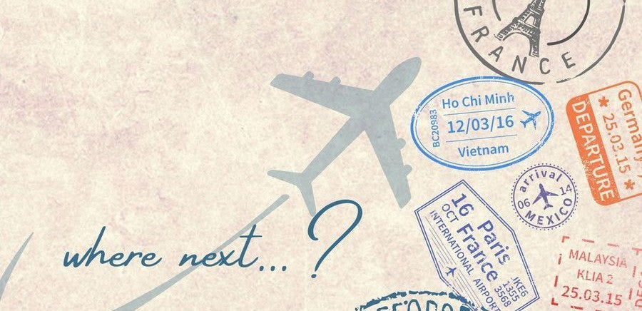 Travel Wellness Stack: Immunity and Gut Stability On the Go