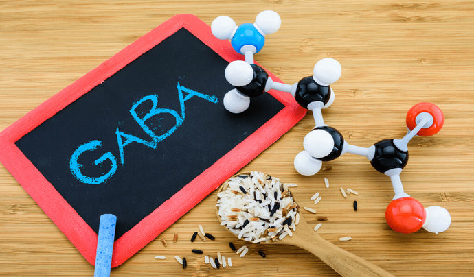 The Role of Gaba and its Benefits for Overall Health