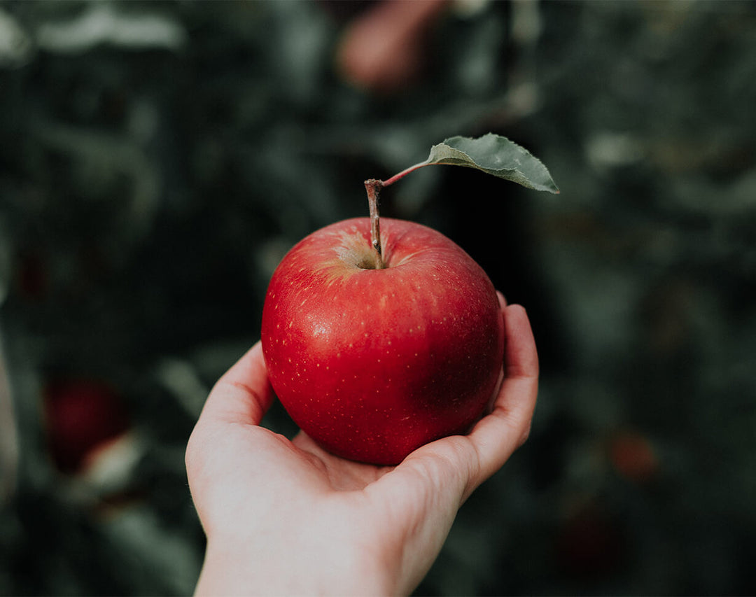 10 Reasons Why You Should Start Your Mornings With Acv