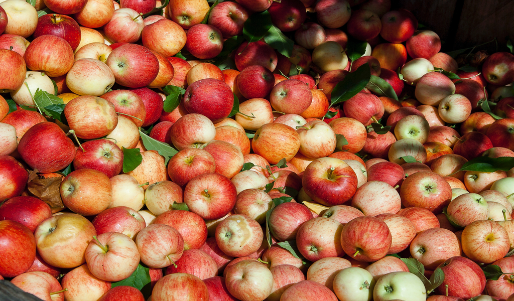 Acv Effervescent Tablets Vs Acv Liquid Which Form Is Better