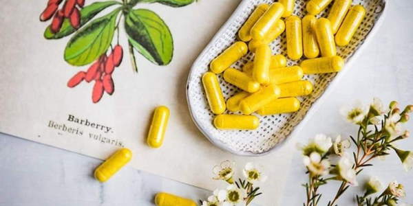 Berberine Benefits Backed by Science: A Natural Ally for Metabolic Balance