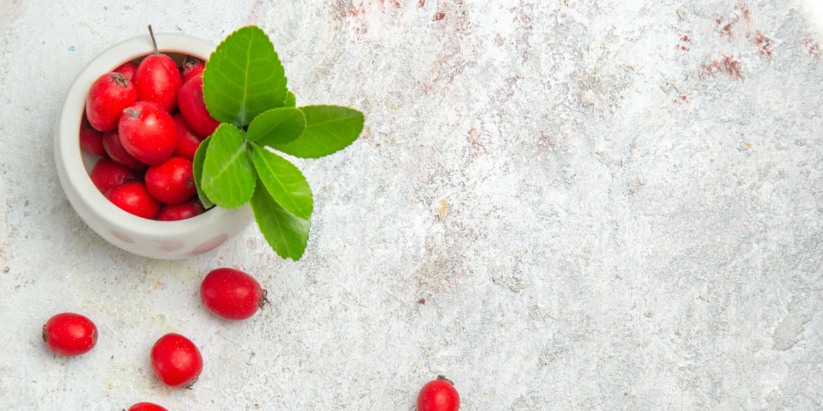 Berberine: Everything You Need to Know About This Natural Compound