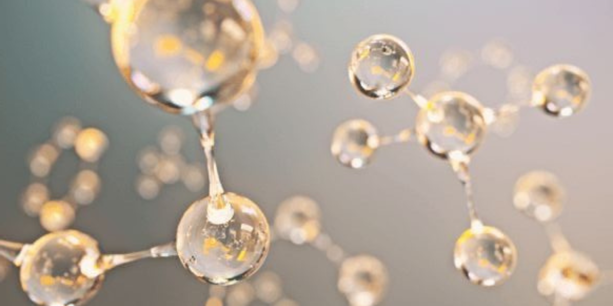 Biotin (Vitamin B7) Deficiency