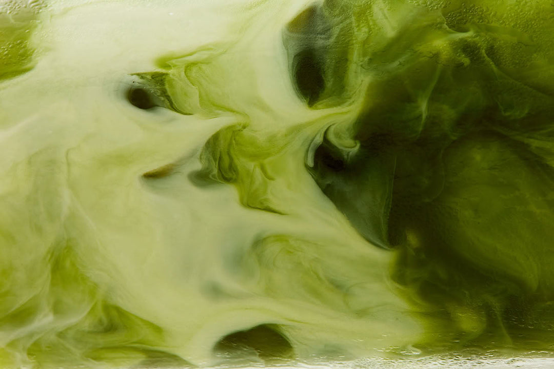 How to Make Matcha Like a Pro: The Art of Whisking Green Perfection