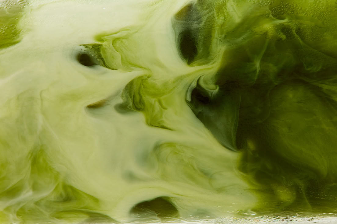 How to Make Matcha Like a Pro: The Art of Whisking Green Perfection