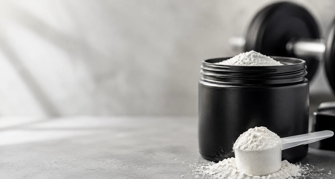 Creatine Monohydrate Guide 2026: Expert Insights on Dosage & Intake 