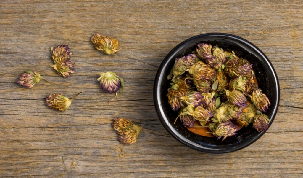 Chicory Root - The New Fiber-Rich Ingredient that’s taking over the Health & Wellness World