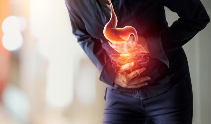 The Link Between Gut Health and Weight Loss: Exploring the Connection