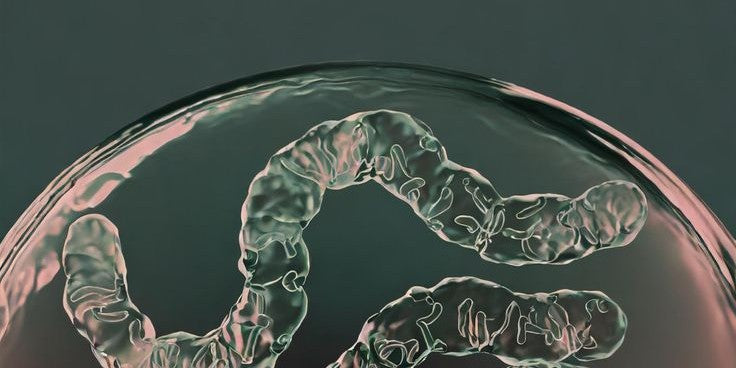 signs of an unhealthy gut