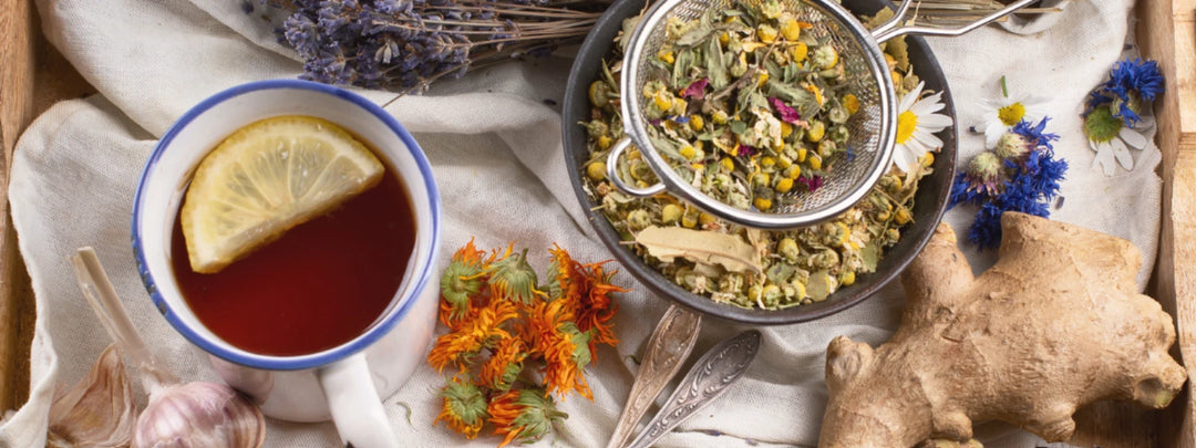 Herbs to calm the mind for anxiety and stress relief. 