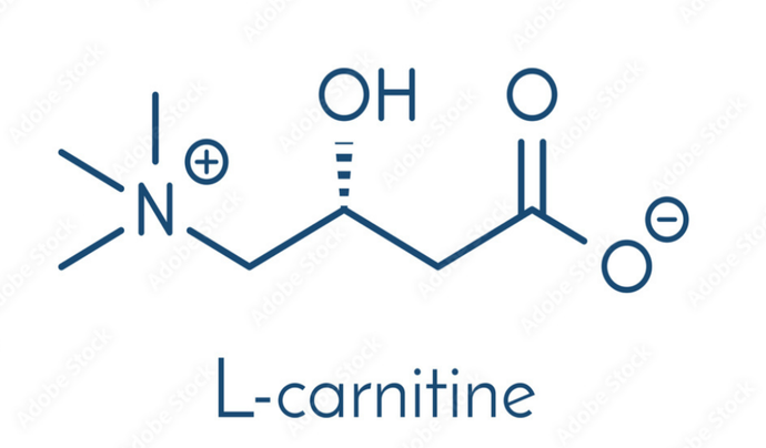 What’s L-Carnitine and how Does it Benefit your Overall Health?