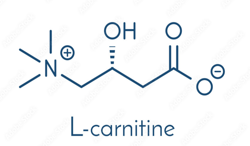 l carnitine detox Does Help with Weight Loss *LaDZPlBik* Trio Nutrition Apple Cider Vinegar