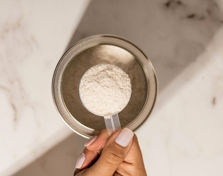 Whey Protein Powder: Why It Sets the Benchmark for Daily Protein