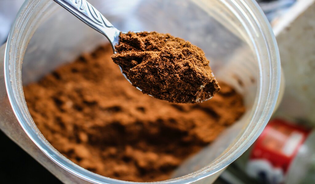 Plant-Based Protein Powder and Digestive Health Supporting Gut Wellness 