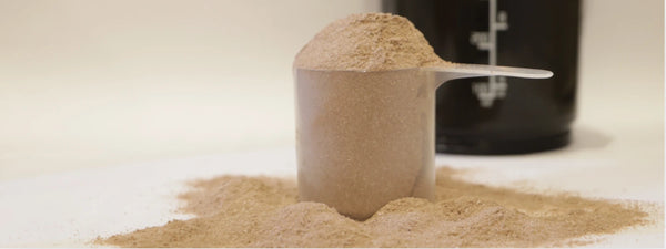 Guide on using unflavored protein powder for optimal nutrition and versatile recipes. 