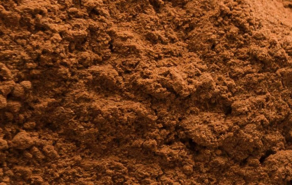 Is Fermented Yeast Protein Good for You