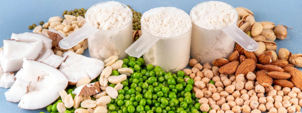 Guide to best plant protein sources for vegan muscle building and weight loss. 