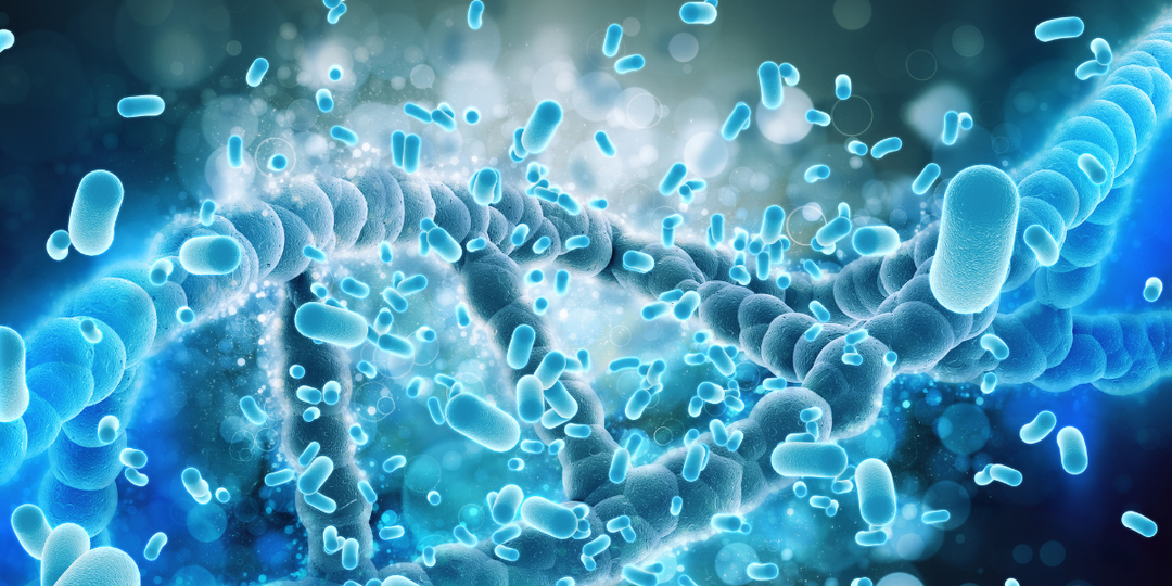 Probiotics for Bloating