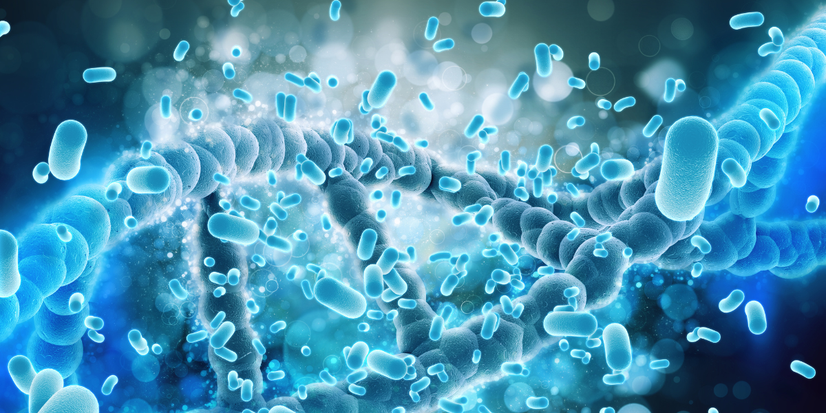 Probiotics for Bloating