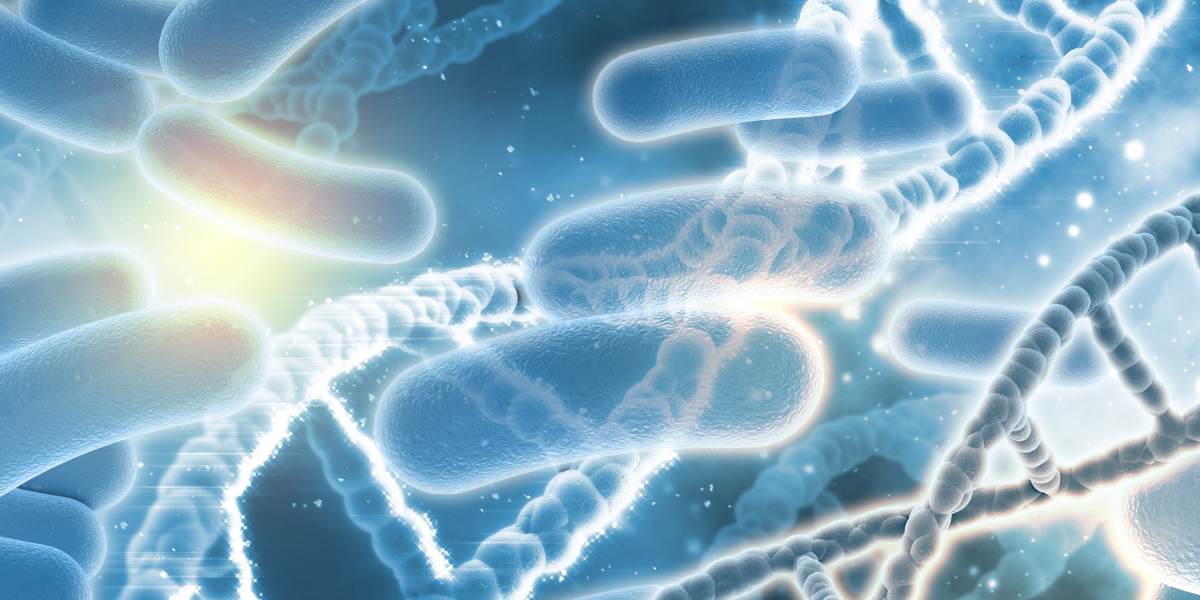 Probiotics for Constipation