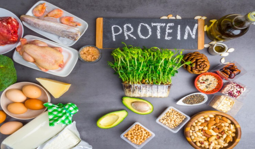 The Environmental Impact of Plant Protein vs. Animal Protein