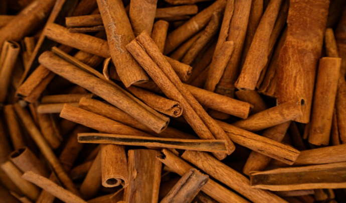 Cinnamon in Traditional Medicine: An Ancient Remedy for Modern Ailments