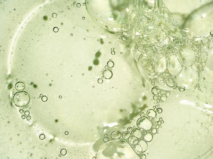 Vitamin B12 Absorption