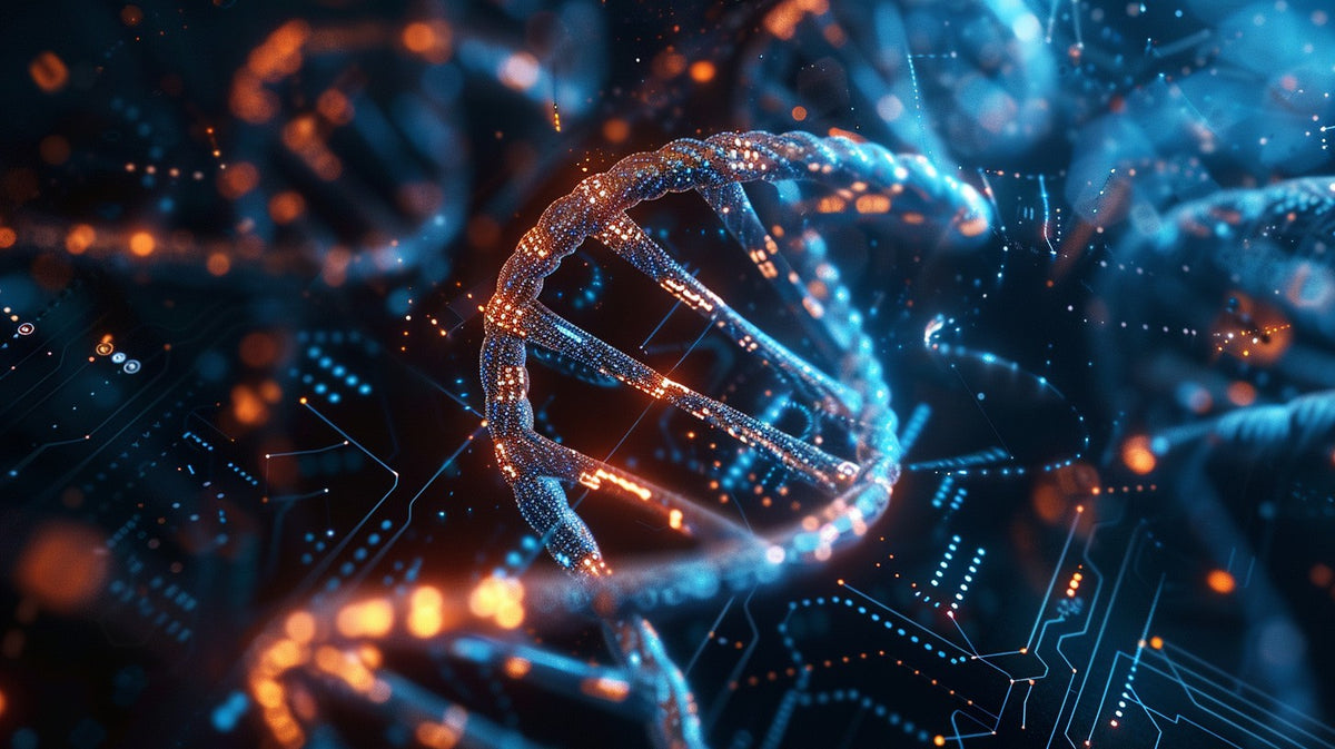 BCAAs Explained: A Deep Dive Into Branched-Chain Amino Acids