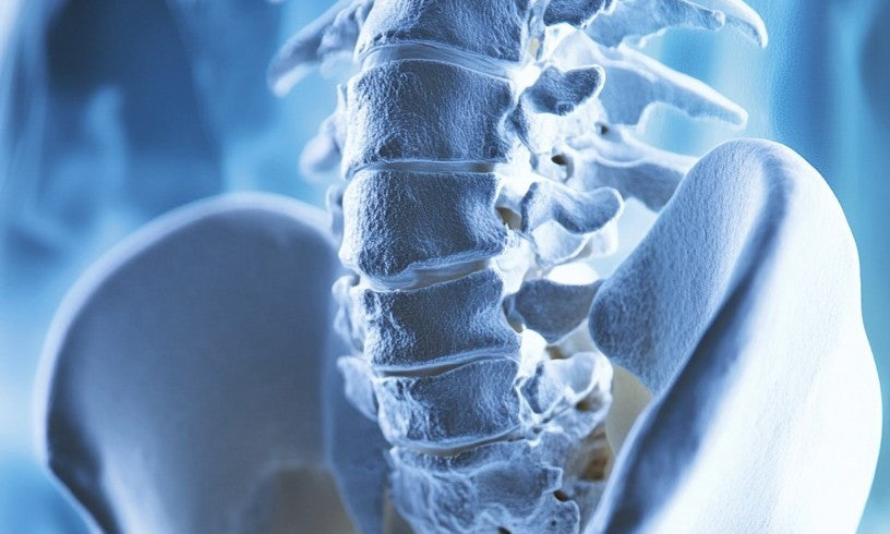 Collagen: How it can help in Osteoporosis