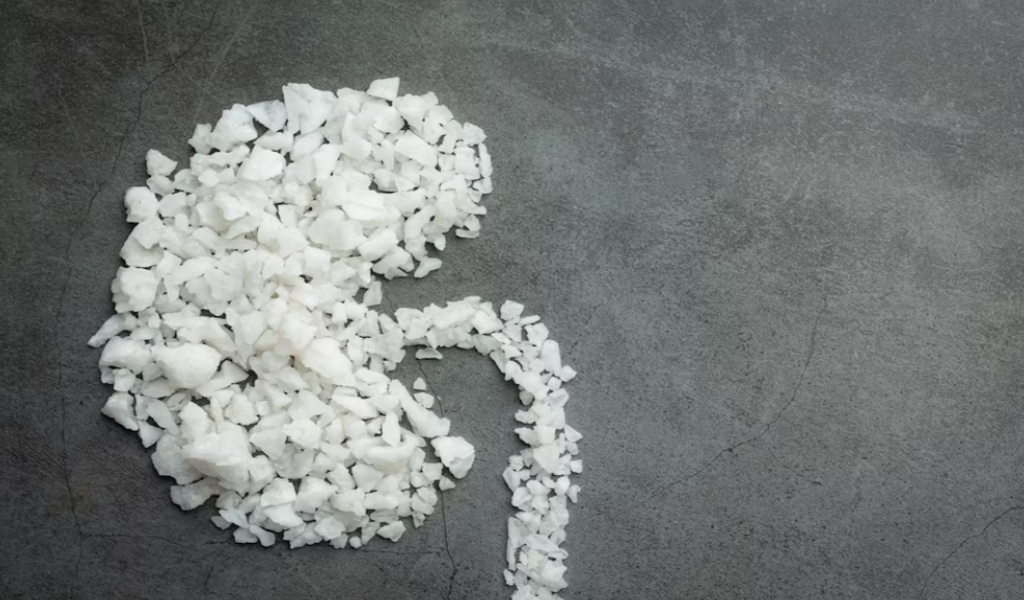 Impact of Gut Health on Bone Density