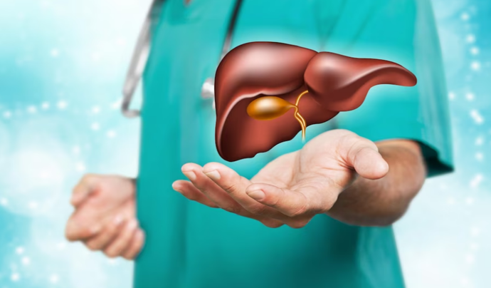 The Role of Nutrition in Maintaining a Healthy Liver