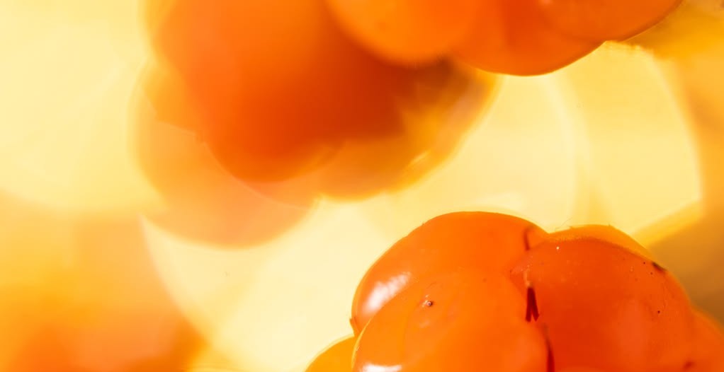Which Sea Buckthorn Form Is Best 