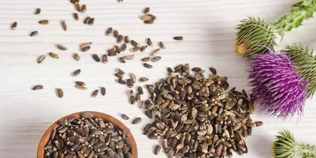 Benefits of Milk Thistle 