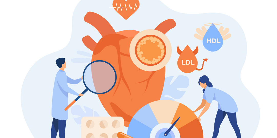 Good vs. Bad Cholesterol
