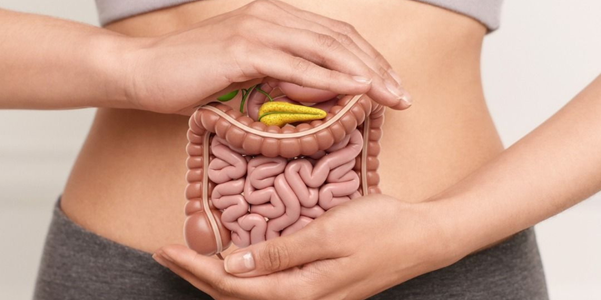 Zinc for Gut Health: The Essential Mineral That Balances Your Microbiome