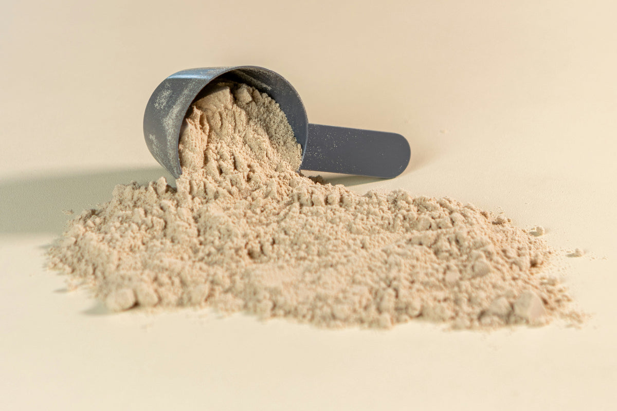  Whey Protein Isolate