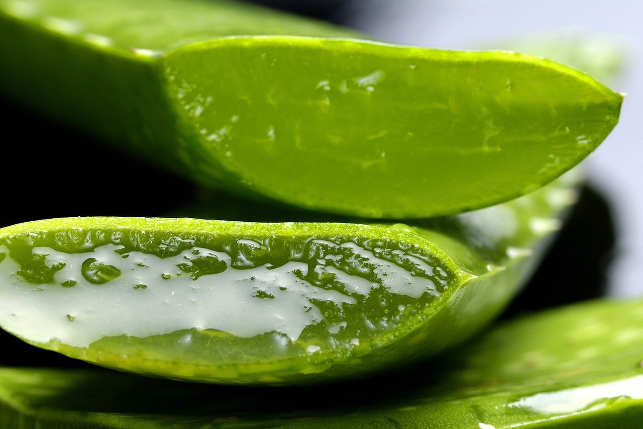 Aloe Vera And Its Many Uses